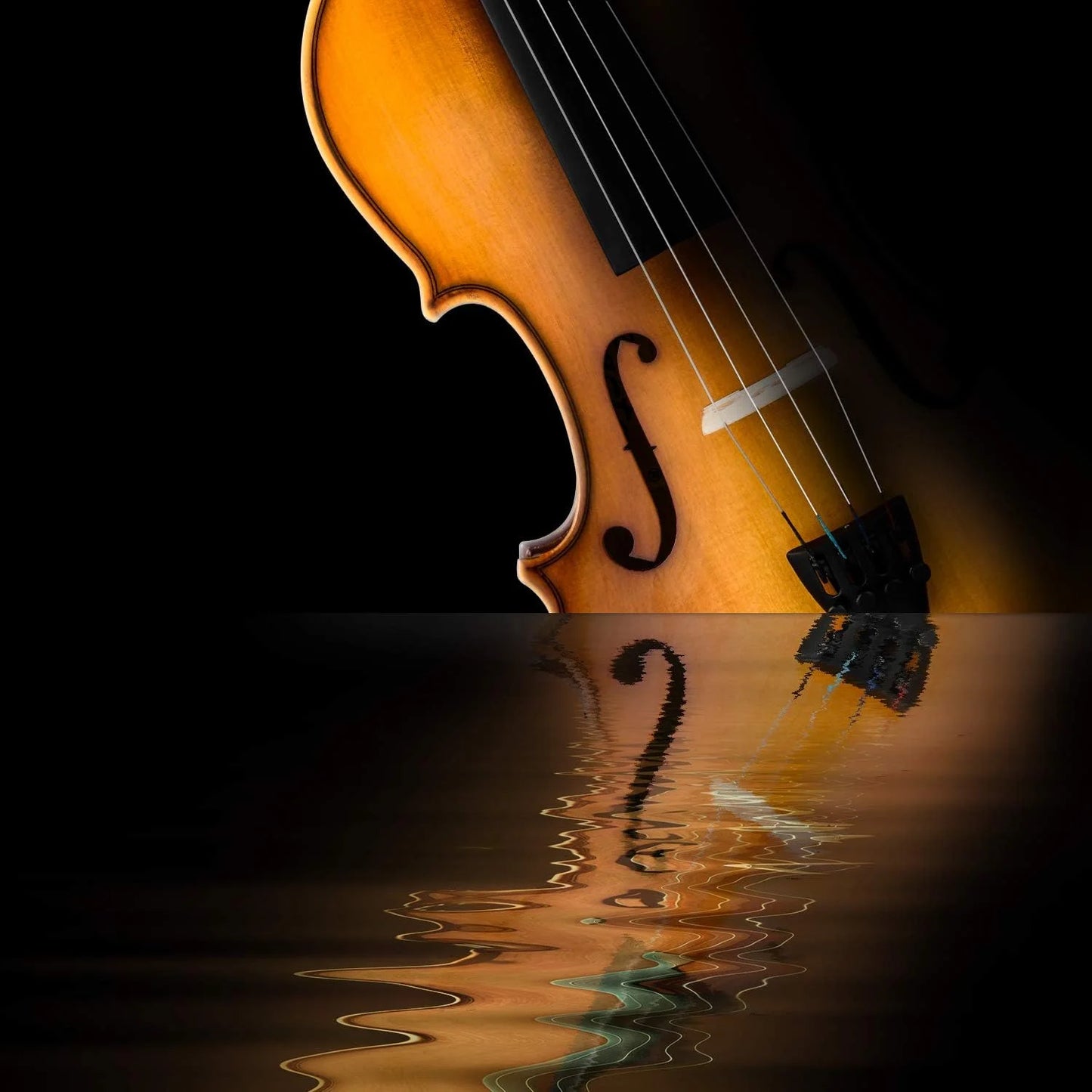 4/4 Violin Set for Adults Solidwood Full Size Fiddle with Hard Case, Shoulder Rest, Rosin, Two Bows, Clip-On Tuner and Extra Strings, EVA-330