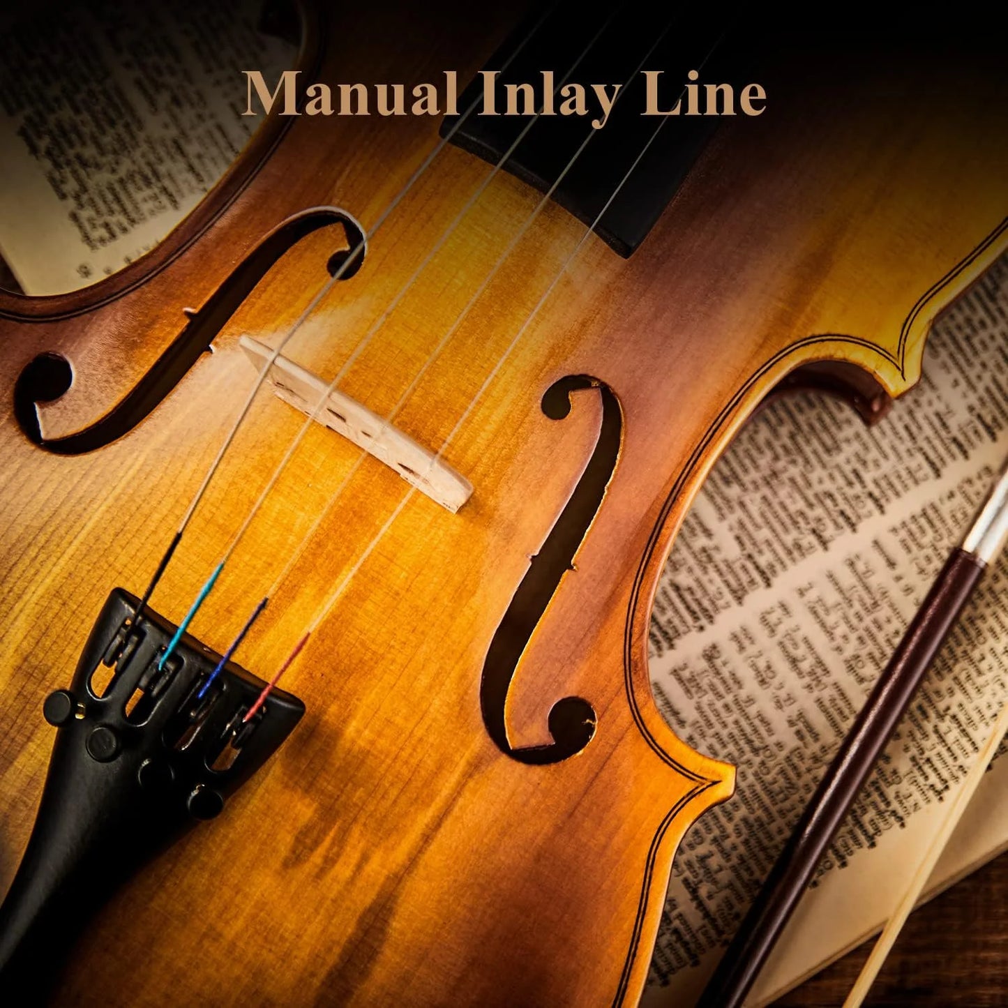 4/4 Violin Set for Adults Solidwood Full Size Fiddle with Hard Case, Shoulder Rest, Rosin, Two Bows, Clip-On Tuner and Extra Strings, EVA-330