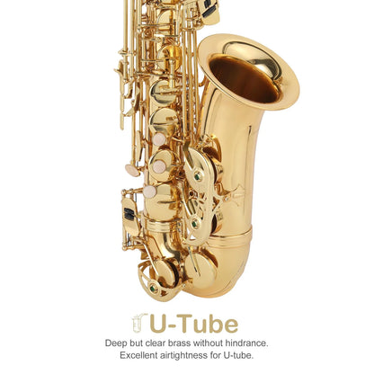 Mid-Range Alto Drop E Lacquered Golden Saxophone Painted Golden Tube with Carve Patterns